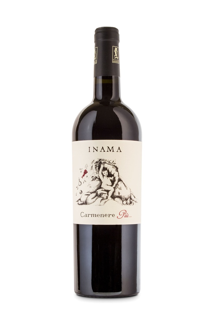 Carmenère Più - Veneto Rosso IGT 2016 - 0,75 L
