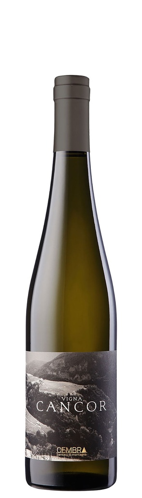 Cancor - Riesling 2017 Trentino DOC - 0,75 L
