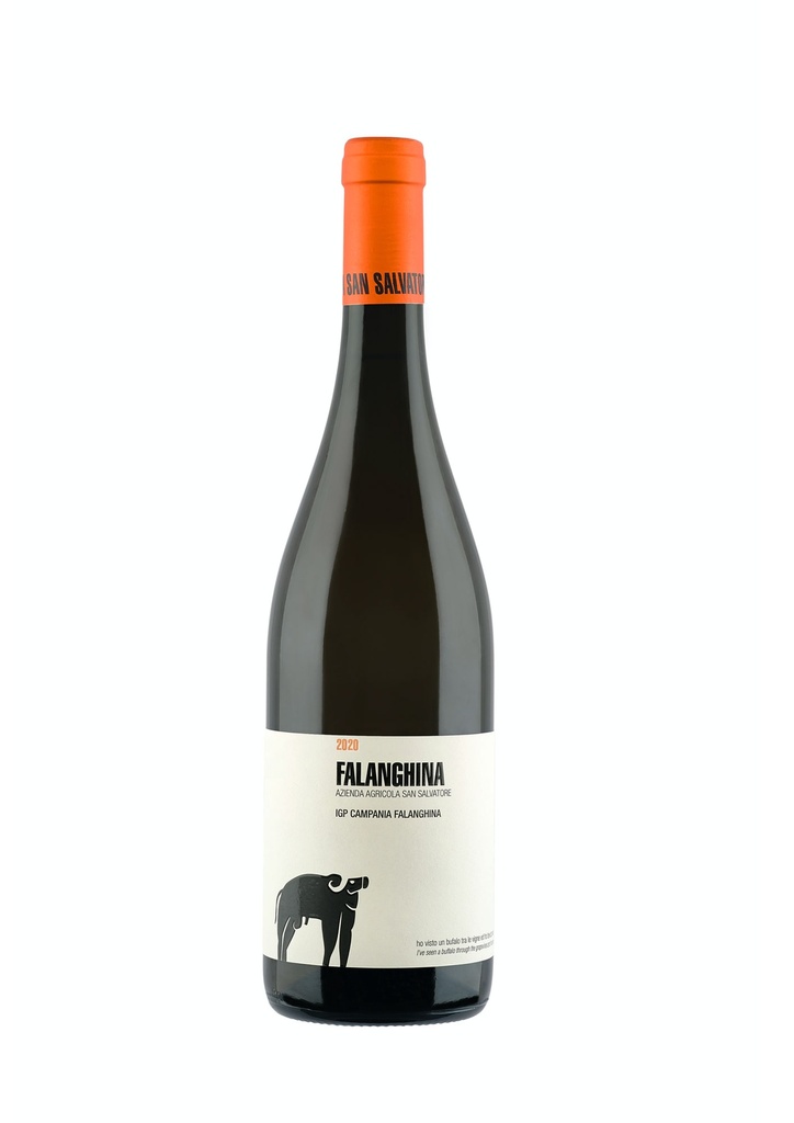 San Salvatore - Falanghina - IGP Falanghina Campania 2022 - 0,75 L