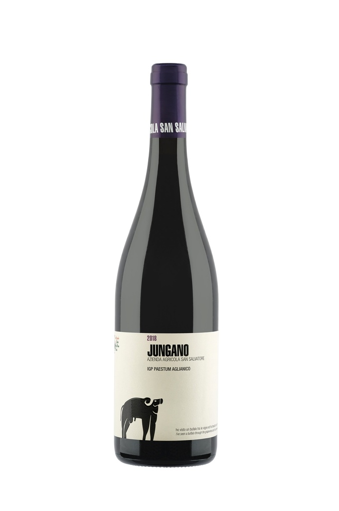 PINO DI STIO - IGP Paestum Pinot Nero 2020 - 0,75 L