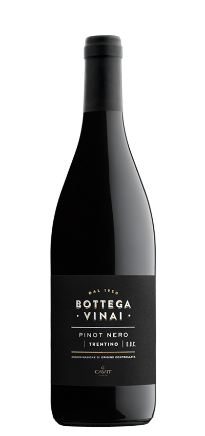 Bottega Vinai Teroldego DOC Rotaliano 2021 - 0.75 L