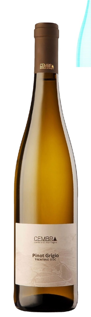 Cembra - Pinot Grigio Trentino 2023 DOC - 0,75 L 
