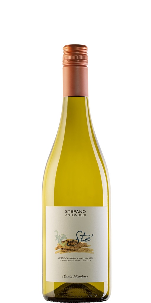 Santa Barbara - Stè 2024 - Verdicchio Castelli di Jesi DOC - 0,75 L