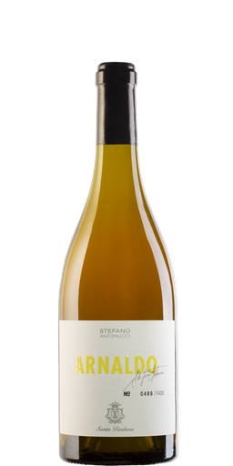 [BARBWT0421] Arnaldo "Orange Wine" Verdicchio dei Castelli di Jesi DOC - 075 L