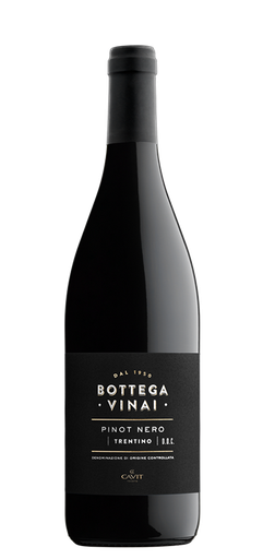 [CAVIRD0222] Bottega Vinai Teroldego DOC Rotaliano 2021 - 0.75 L