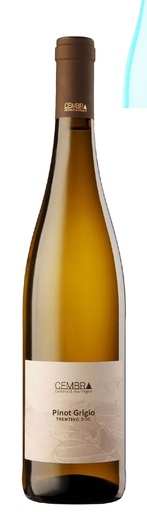 [LAVIWT0223] Cembra - Pinot Grigio Trentino 2023 DOC - 0,75 L 